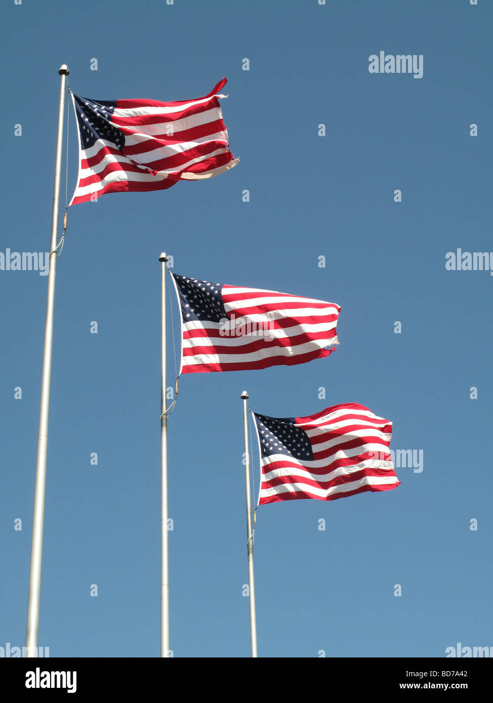 Drei amerikanische Flaggen stolz im Wind wehen. Stockfoto