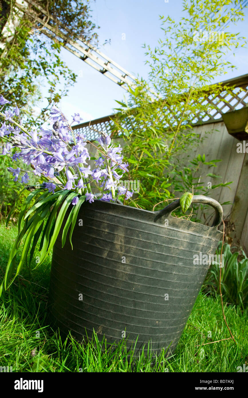 Gartenarbeit-Stillleben Stockfoto