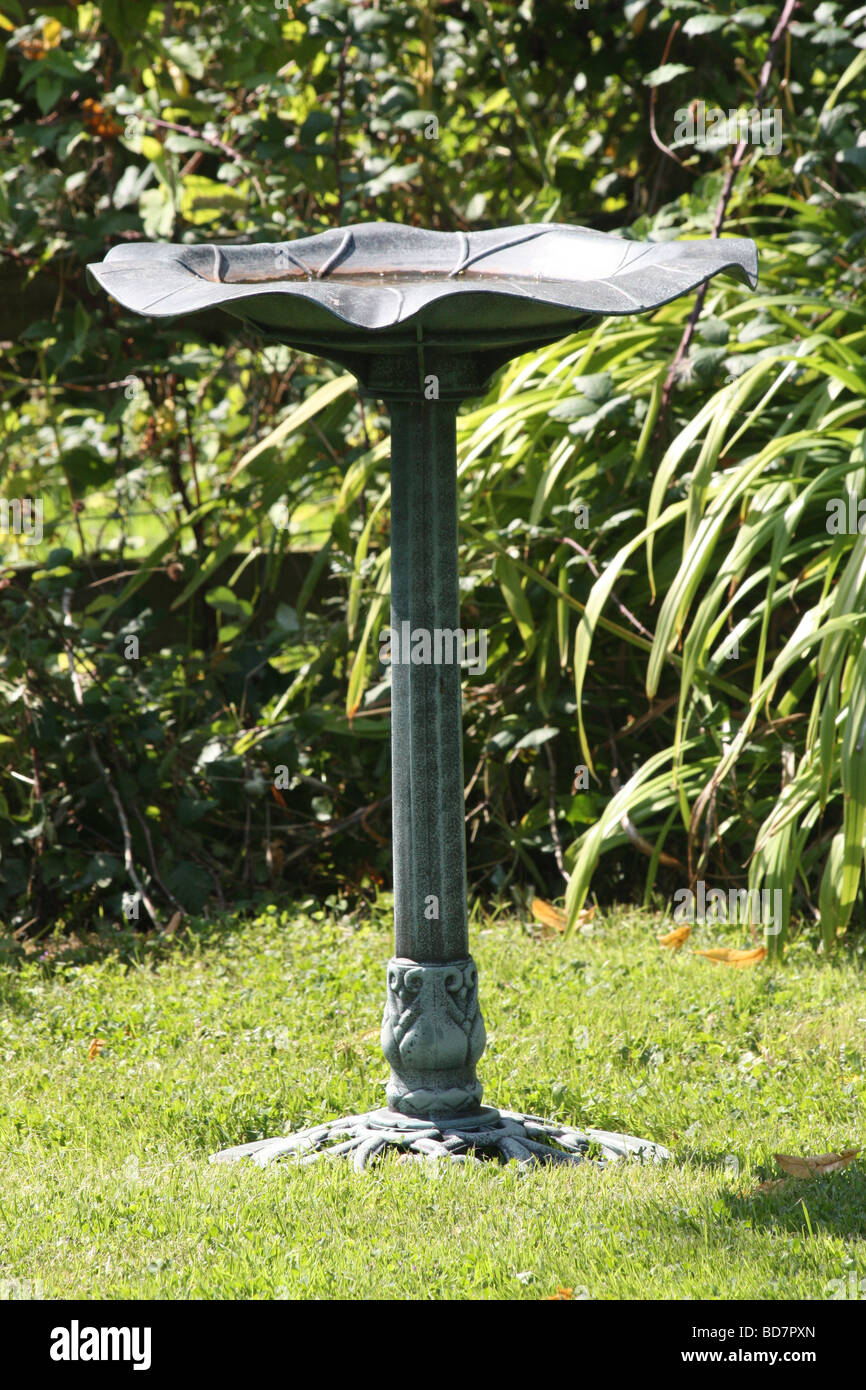 Englische gartenvögel Fotos und Bildmaterial in hoher Auflösung Alamy