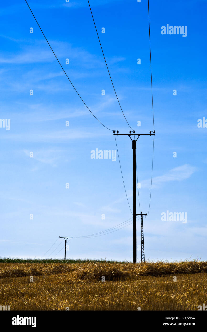 Telefonleitungen auf abgeernteten Weizenfeld Stockfoto