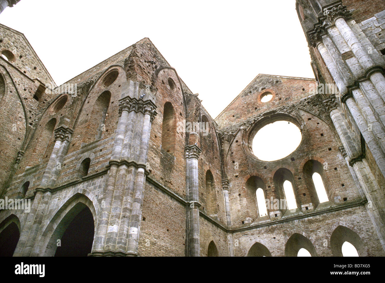 Abtei von San Galgano Siena Italien Stockfoto