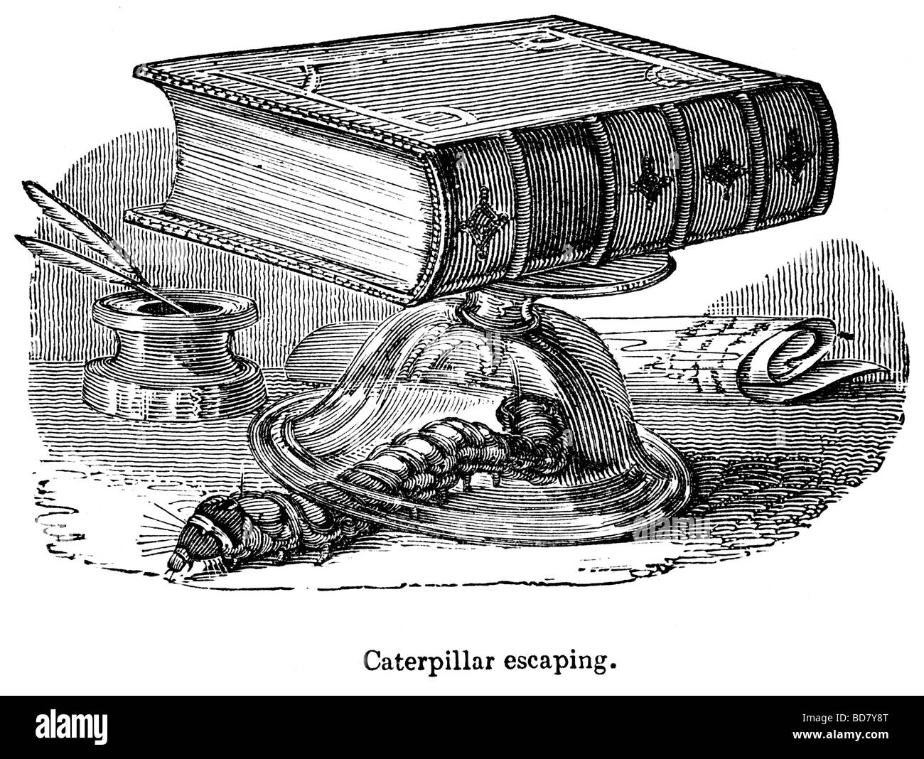Caterpillar entkommen Stockfoto