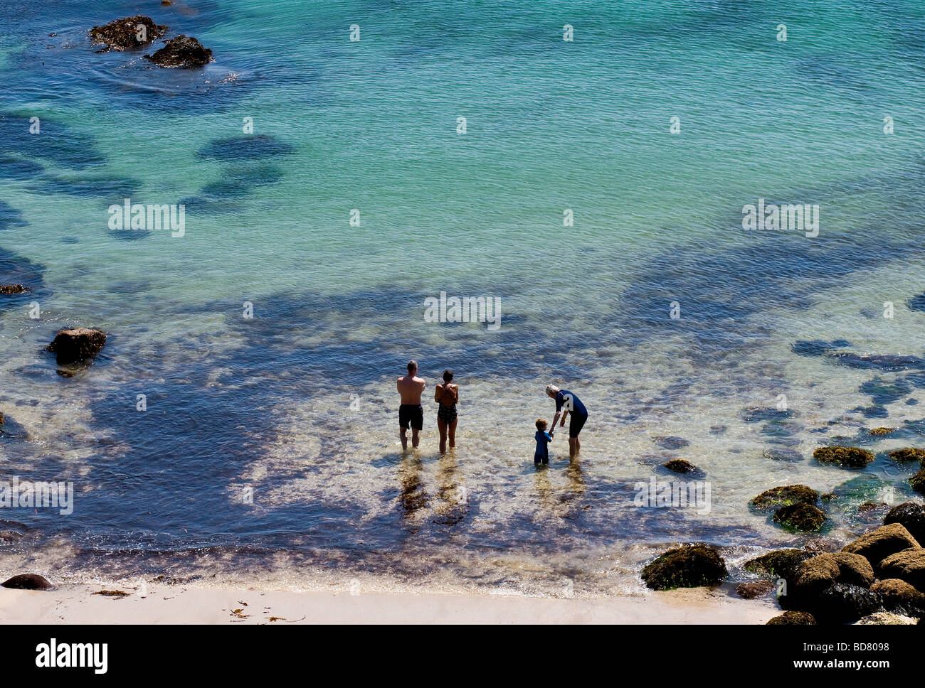 Drei Erwachsene und ein Kind Paddeln im Meer bei Porthgwarra in Cornwall. Stockfoto