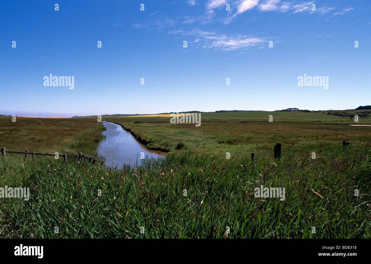 Salthouse Sumpfgebiete mit Entwässerungsgräben, geschützt von der Nordsee durch hohe Schindel-Banken, die ständig repariert werden. Stockfoto