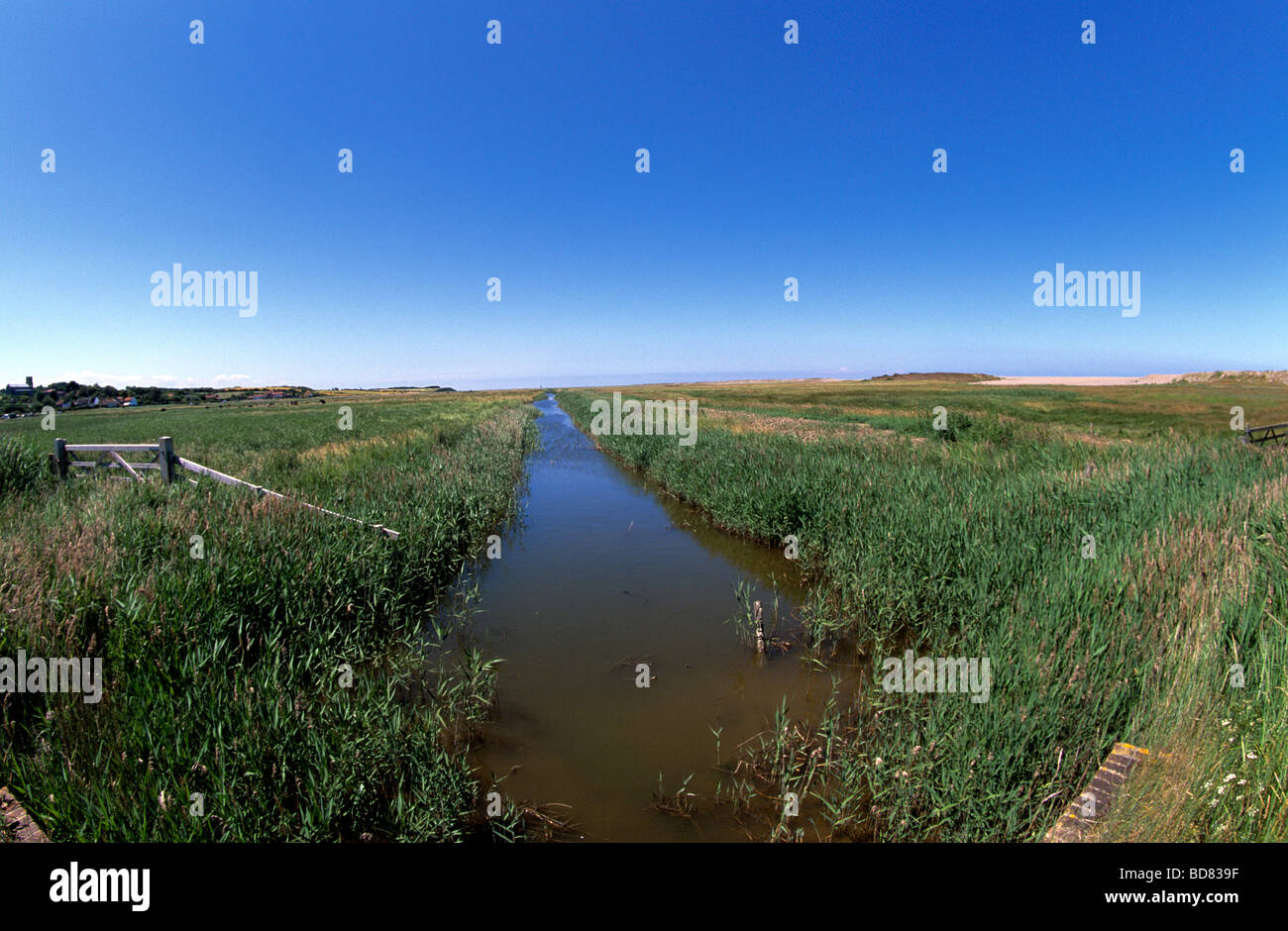 Salthouse Sumpfgebiete mit Entwässerungsgräben, geschützt von der Nordsee durch hohe Schindel-Banken, die ständig repariert werden. Stockfoto