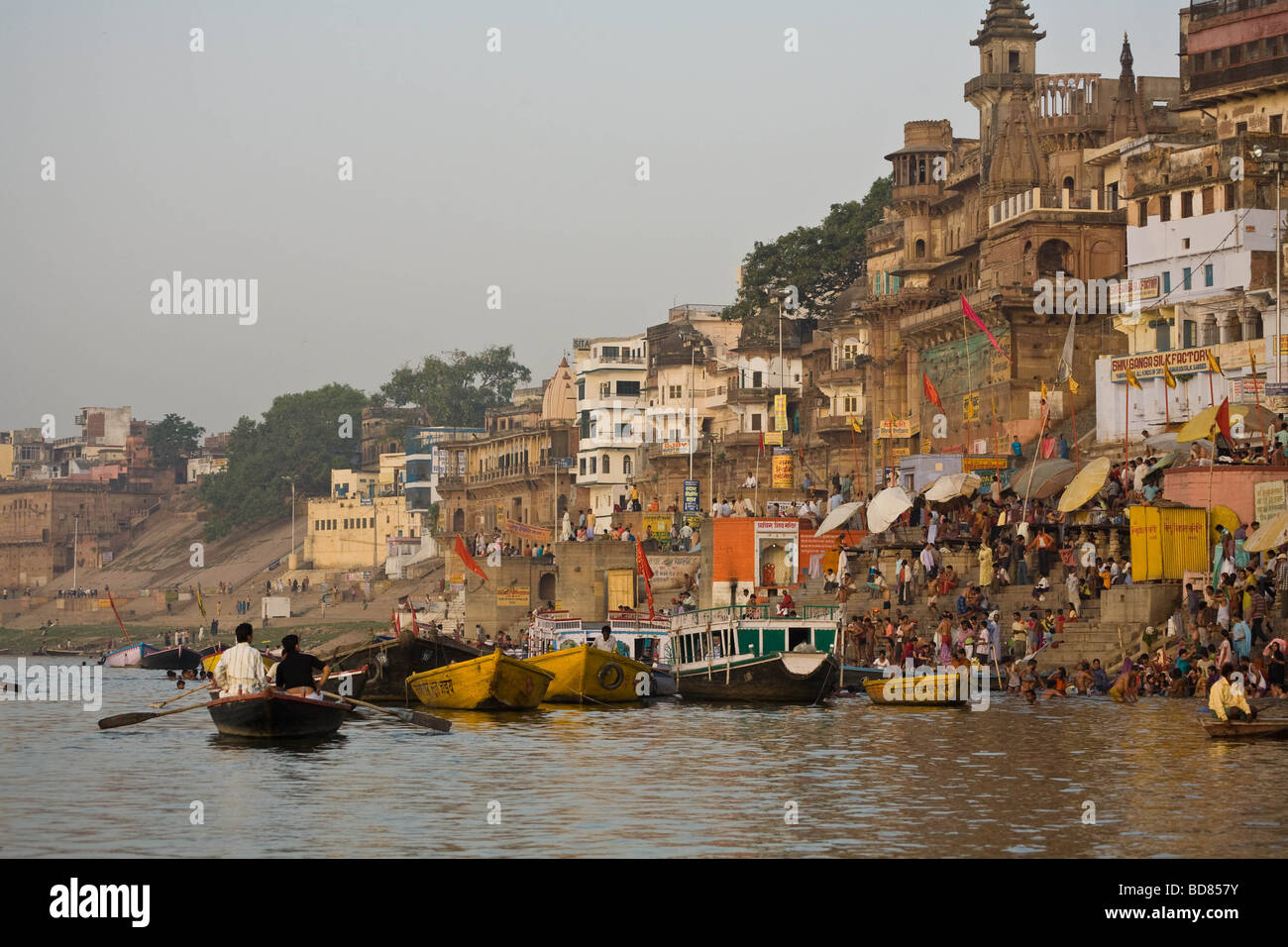 Massen von Menschen Baden in den verschmutzten Ganges in den frühen Morgenstunden von Varanasi Stockfoto