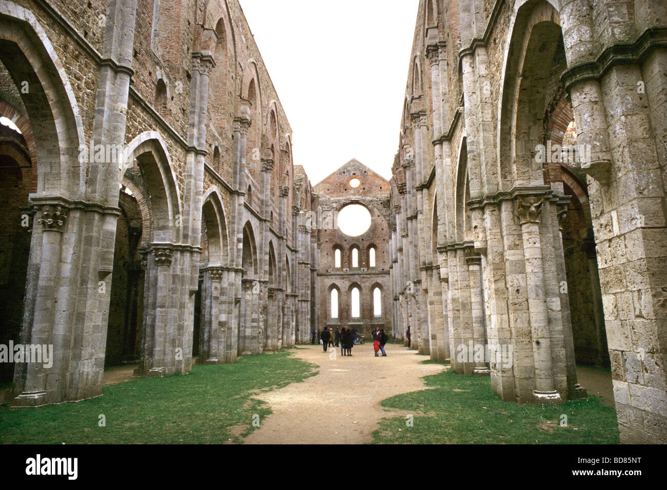 Abtei von San Galgano Siena Italien Stockfoto