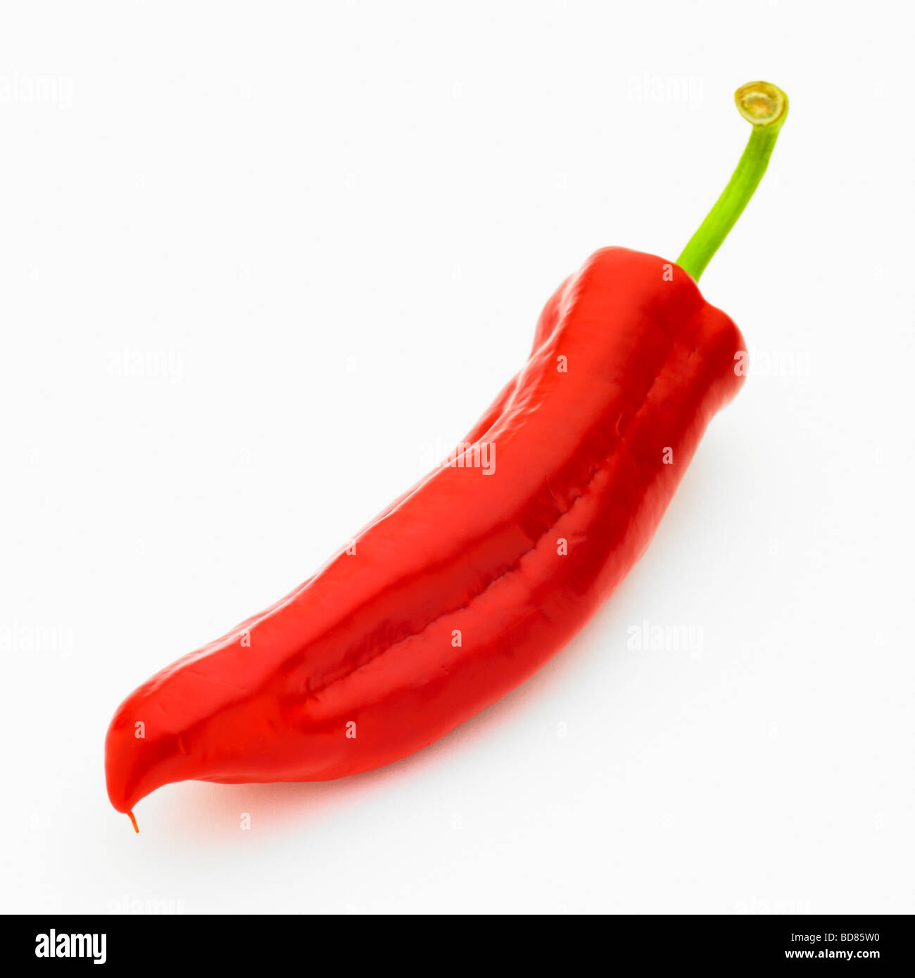 Rote Paprika. Stockfoto