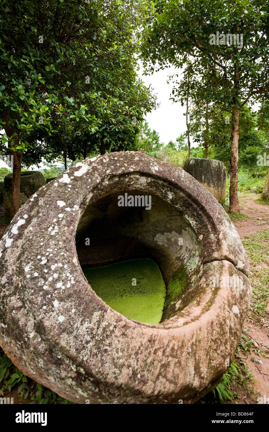 Große steinerne Krüge unter Bäumen Teil des Plain of Jars in der Nähe von Phonsavanh Laos Stockfoto