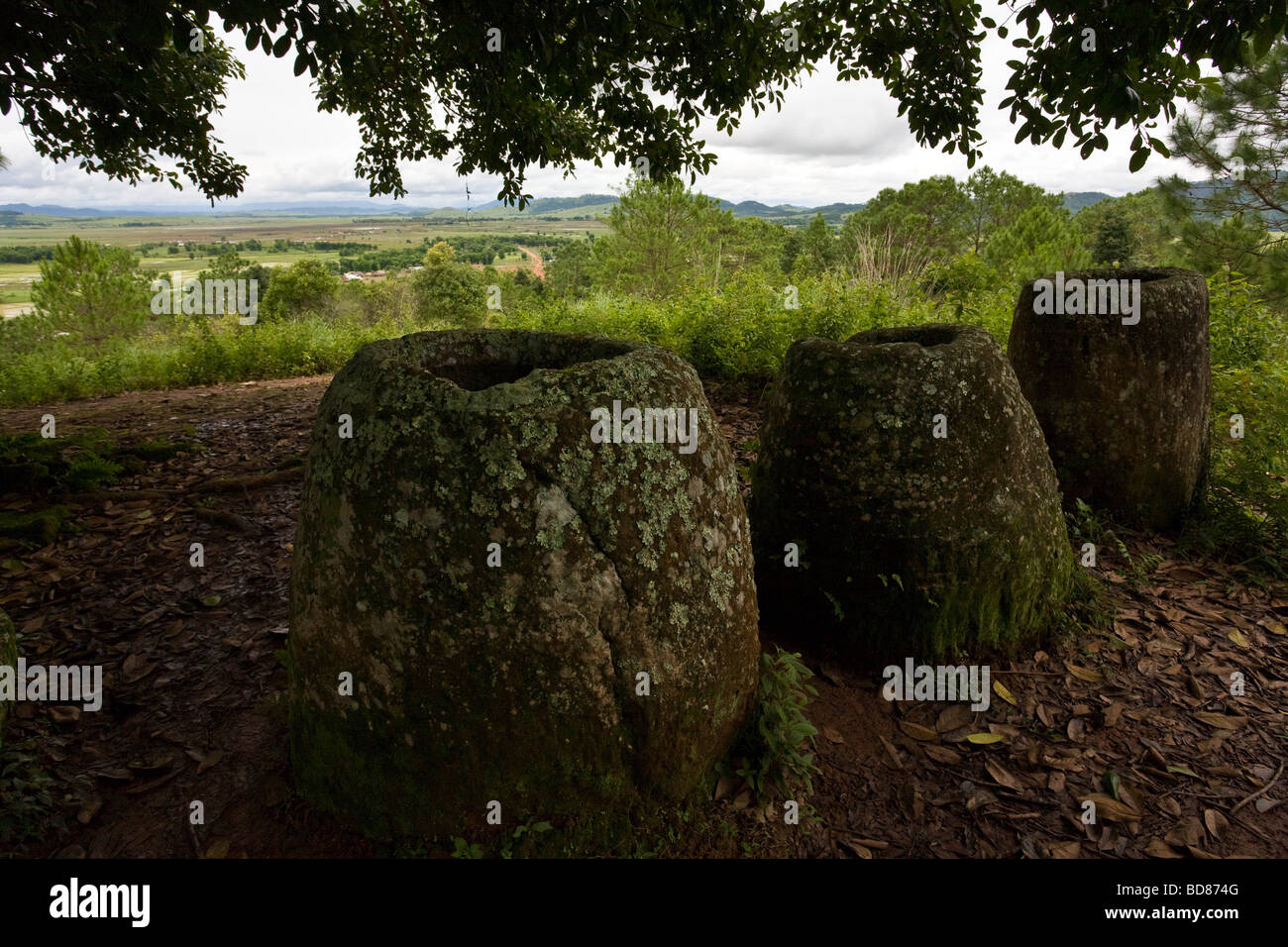 Große steinerne Krüge unter Bäumen Teil des Plain of Jars in der Nähe von Phonsavanh Laos Stockfoto