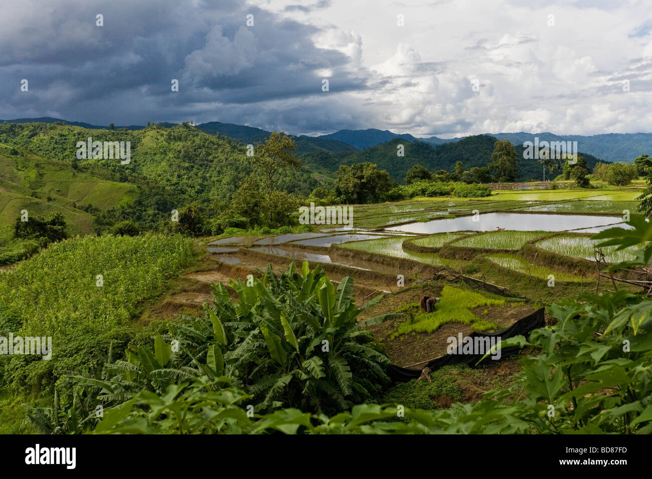 Berglandschaft in der Nähe der Grenze zwischen Laos und Vietnam Stockfoto