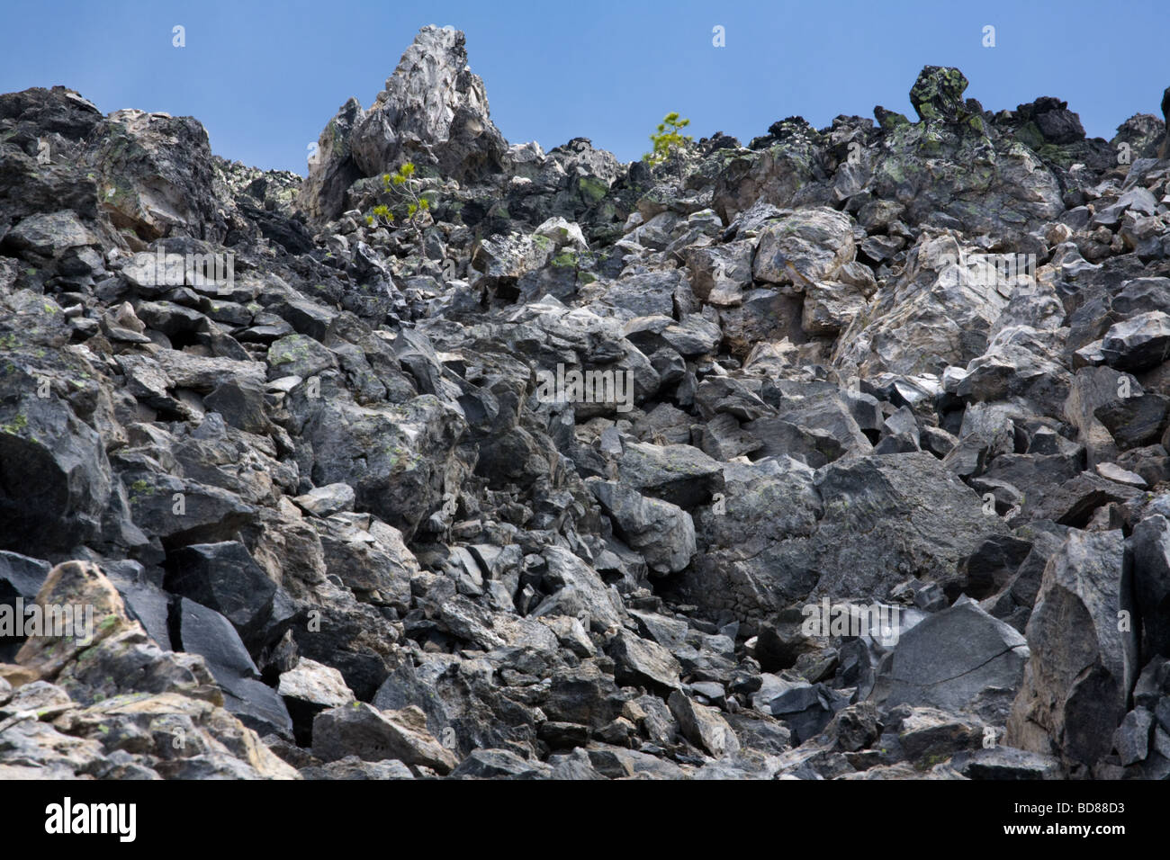 Großen Obsidian Flow Newberry National Volcanic Monument in Oregon Stockfoto
