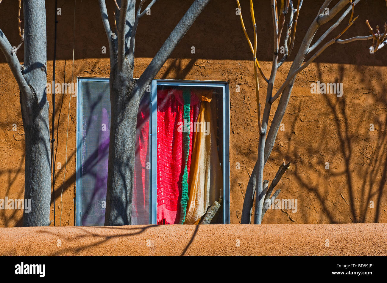 Fenster-Bäume und Adobe-Wand in Santa Fe NM Stockfoto