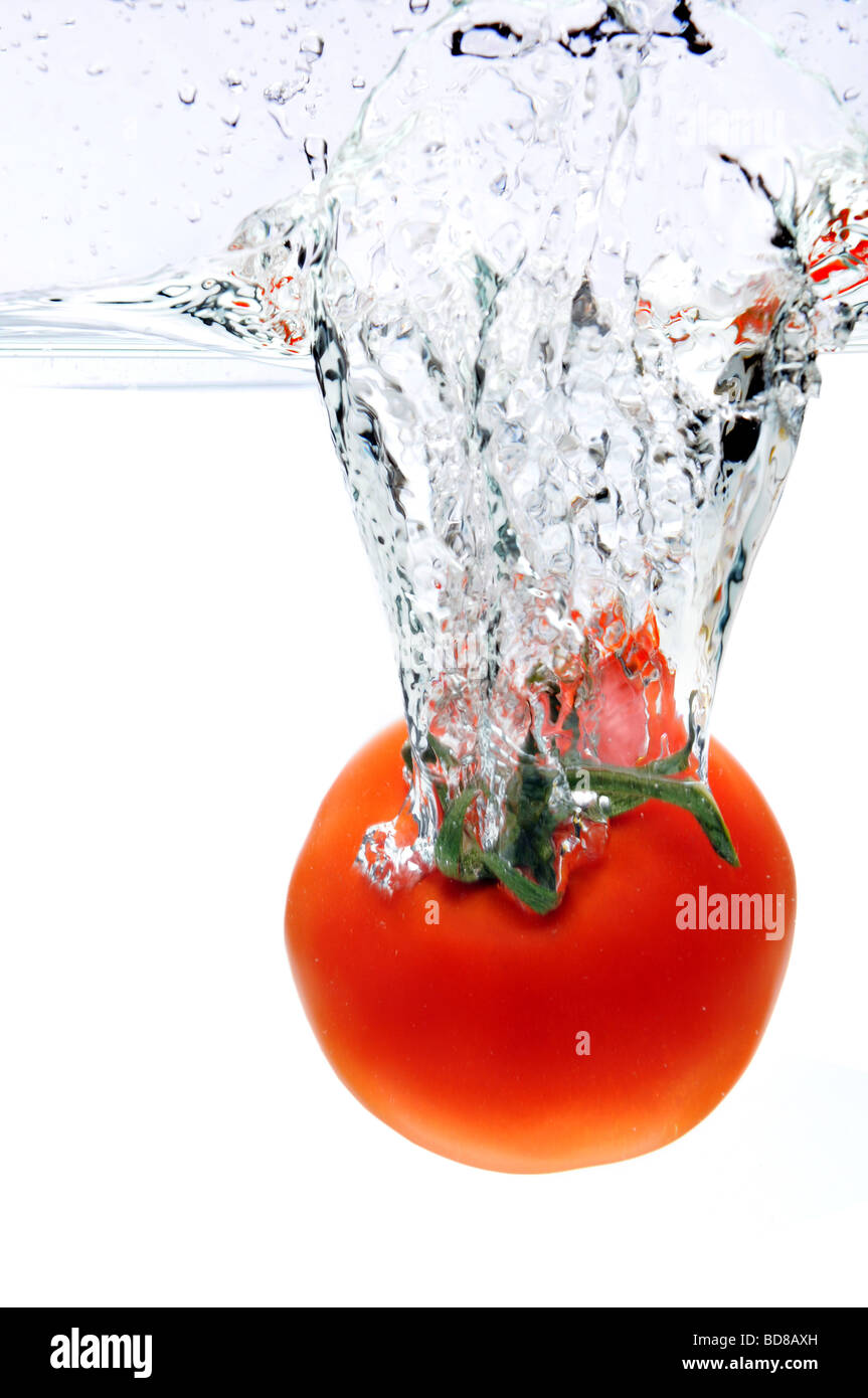 Rote Tomate spritzt ins Wasser über einen weißen Hintergrund Stockfoto