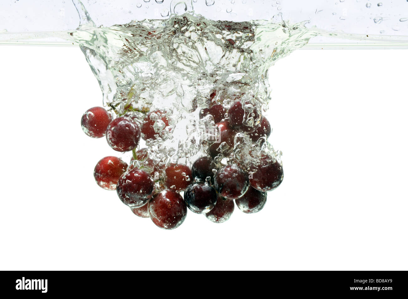 Rote Trauben spritzt ins Wasser über einen weißen Hintergrund Stockfoto