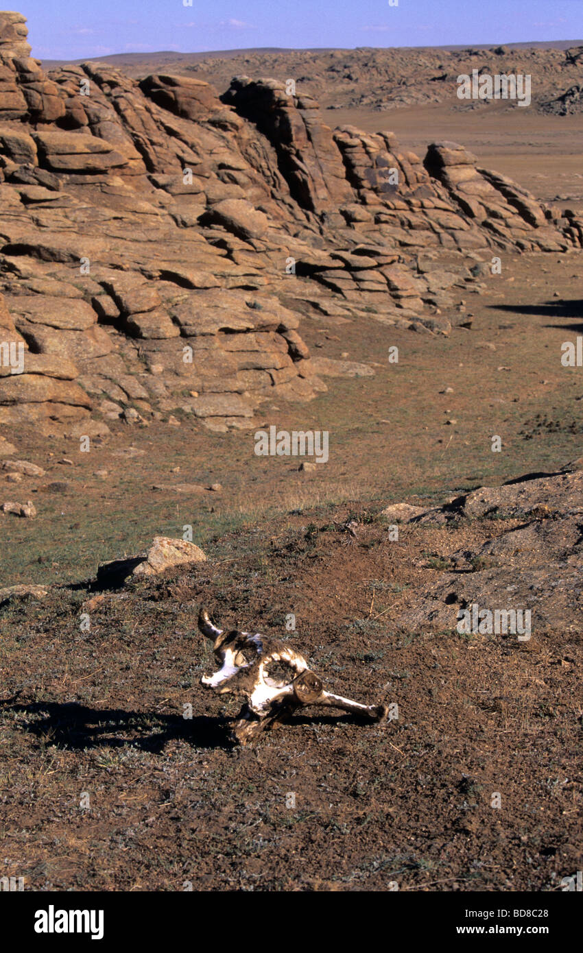 Felsen-Formation in Baga Gazriin Chuluu, Wüste Gobi, Mongolei Stockfoto