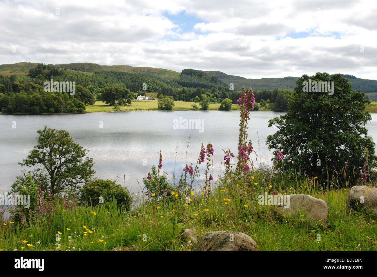 Loch Ederline in der Nähe von Dorf von Ford in Argyle und Bute Schottland Stockfoto