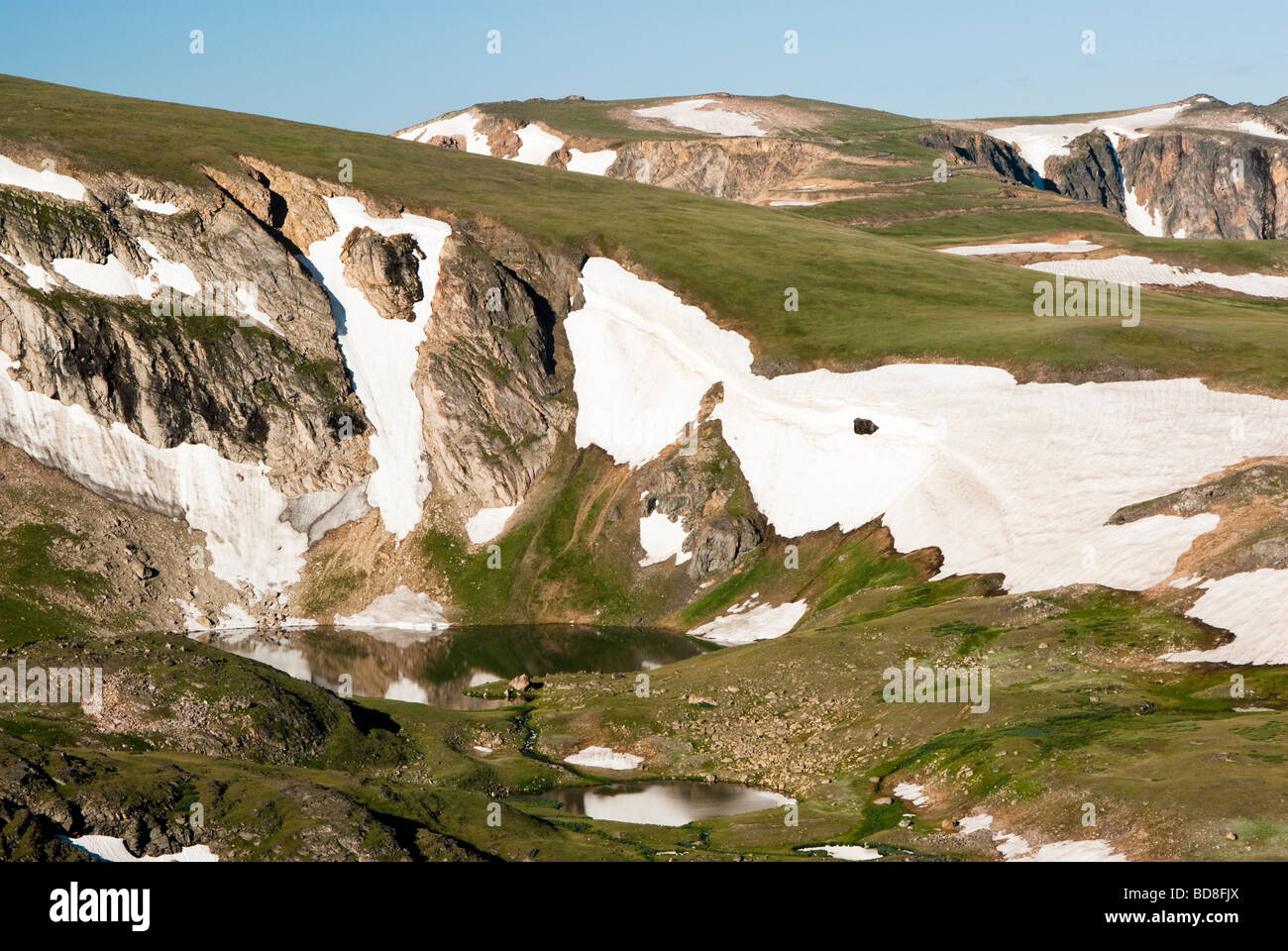 Alpensee entlang der Beartooth Highway Stockfoto