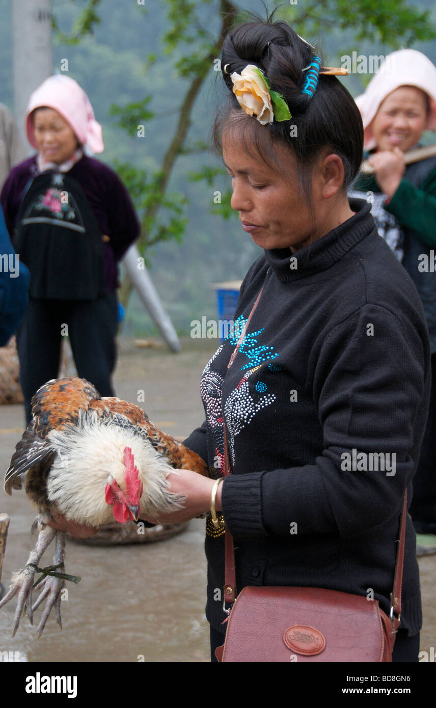 Miao woman in market inspecting hen Guizhou Province China Stockfoto