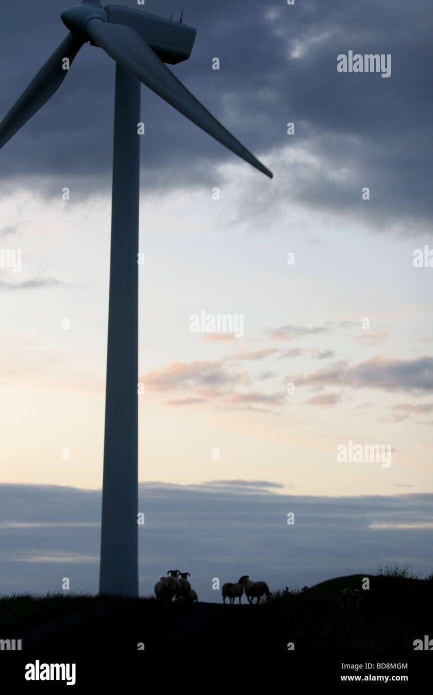 Windpark - Ardrossan - Ayrshire - versoffen und südlichen erneuerbare Energien Stockfoto