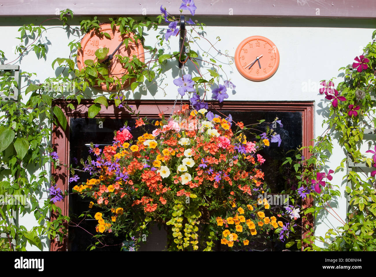 Eine Blumenampel und Gartenmöbel auf einem Schuppen in Clitheroe Lancashire UK Stockfoto