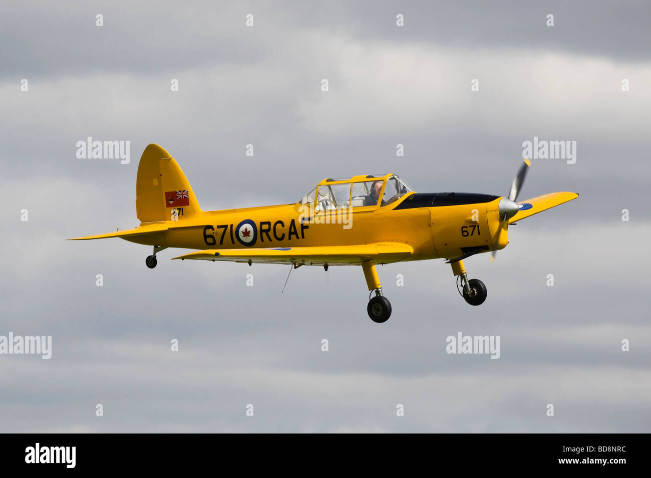 Eine De Havilland DHC1 Streifenhörnchen in RCAF Farben lackiert Stockfoto