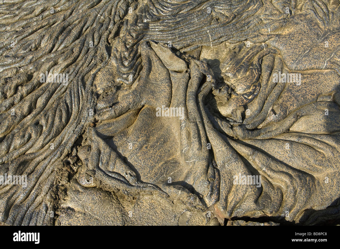 Zerklüftete Pahoehoe-Lava, Sullivan Bay Santiago Insel Galapagos Ecuador Pazifik Südamerika Mai Stockfoto