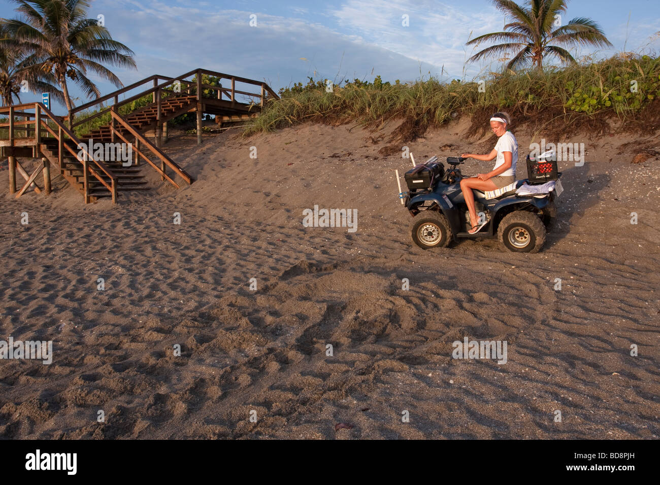 Biologe markiert ein neues unechte Nest an einem Strand in florida Stockfoto