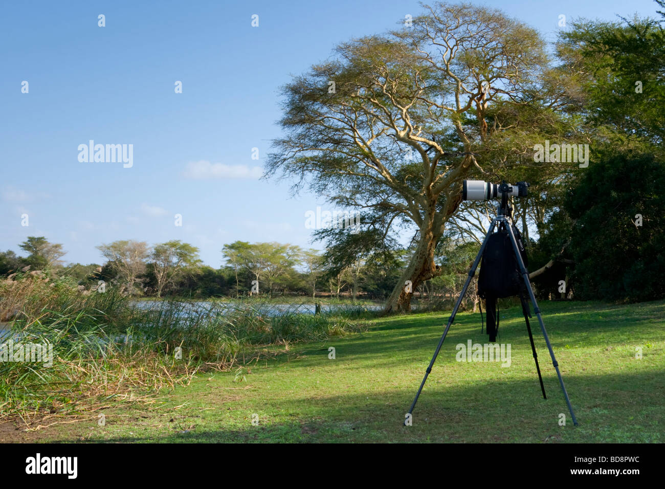 Kamera-Setup im Nsumo Pan. Vogel-Fotografie-Shooting. uMkhuze Game Reserve, Kwazulu-Natal, Südafrika. Stockfoto