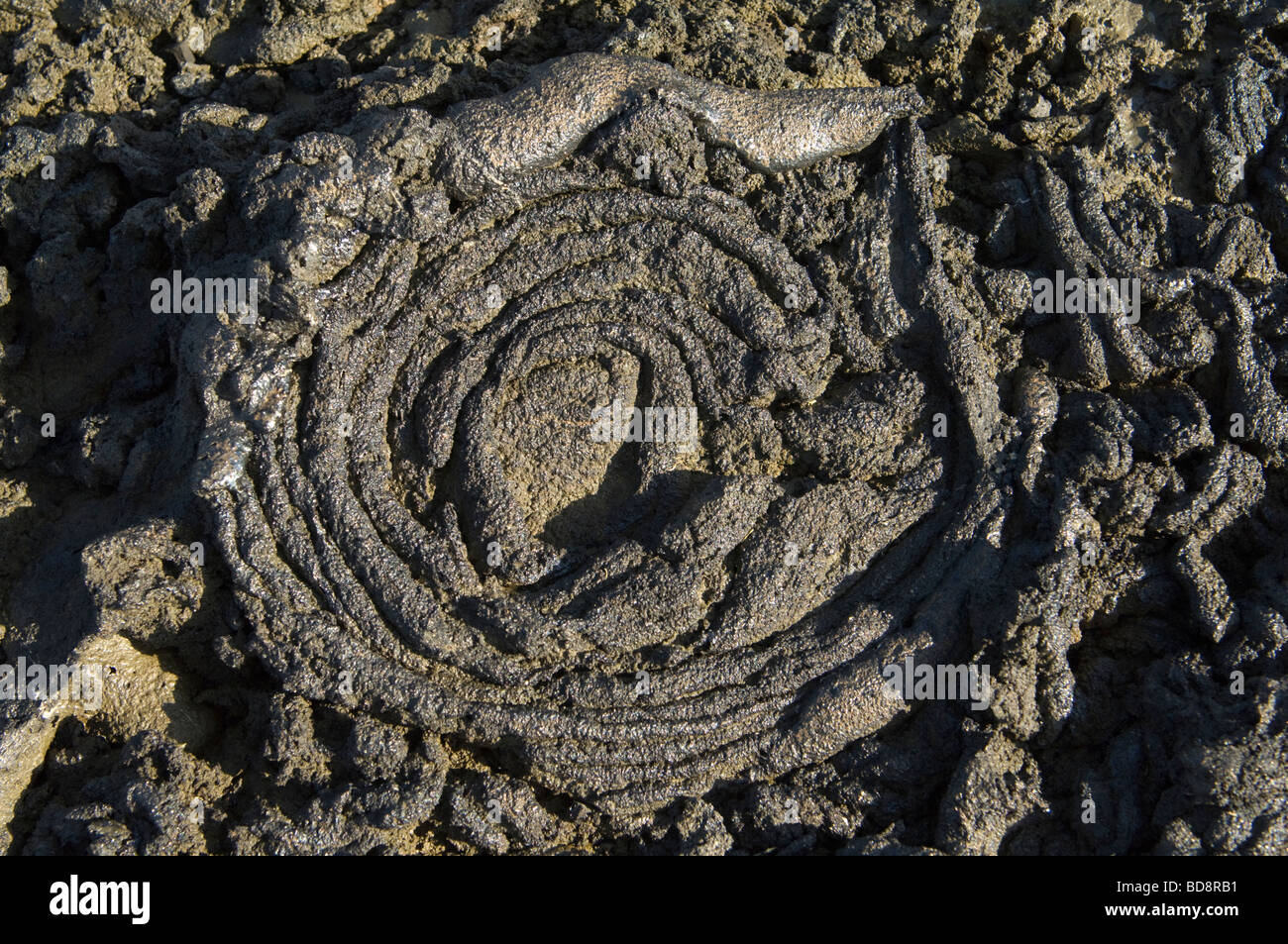 Heißen Pahoehoe Lava erzeugt Ribbon-Like Formen wie es kühlt Sullivan Bay Santiago Insel Galapagos Ecuador Pazifik Stockfoto