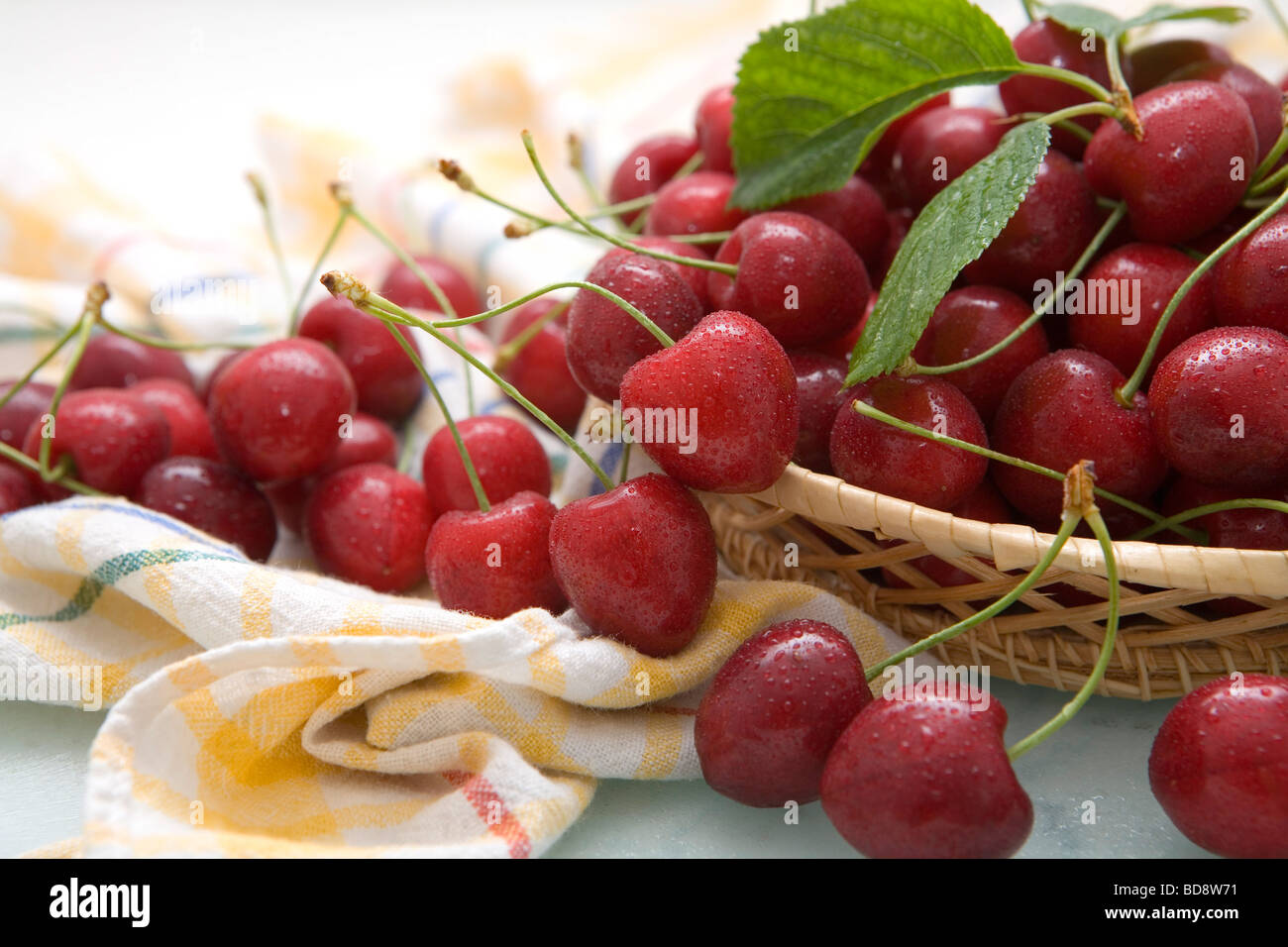 Stillleben mit Kirschen in einem Korb Stockfoto