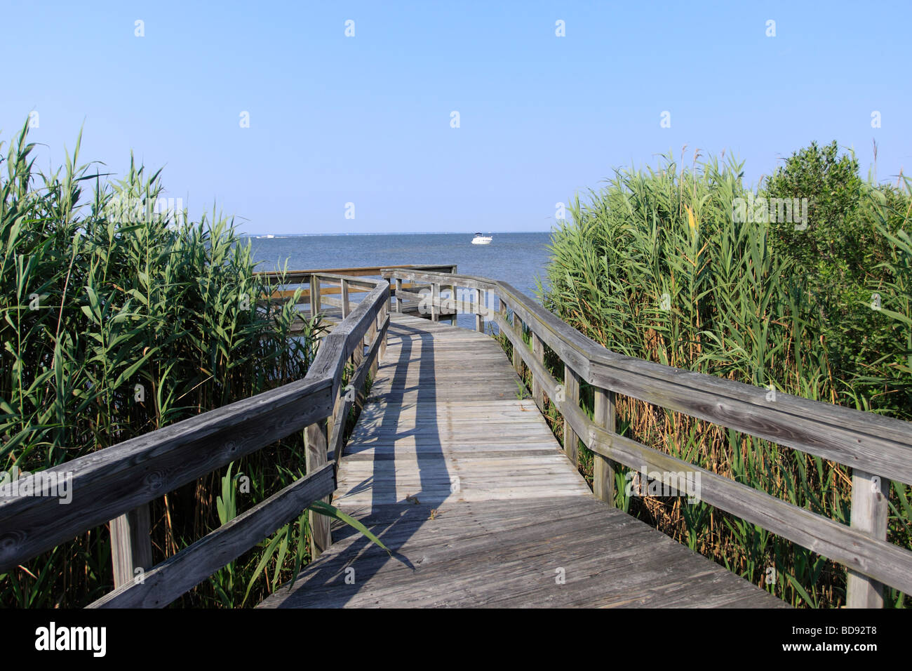 Wanderweg an der versunkenen Forest Fire Island National Seashore Long Island NY Stockfoto