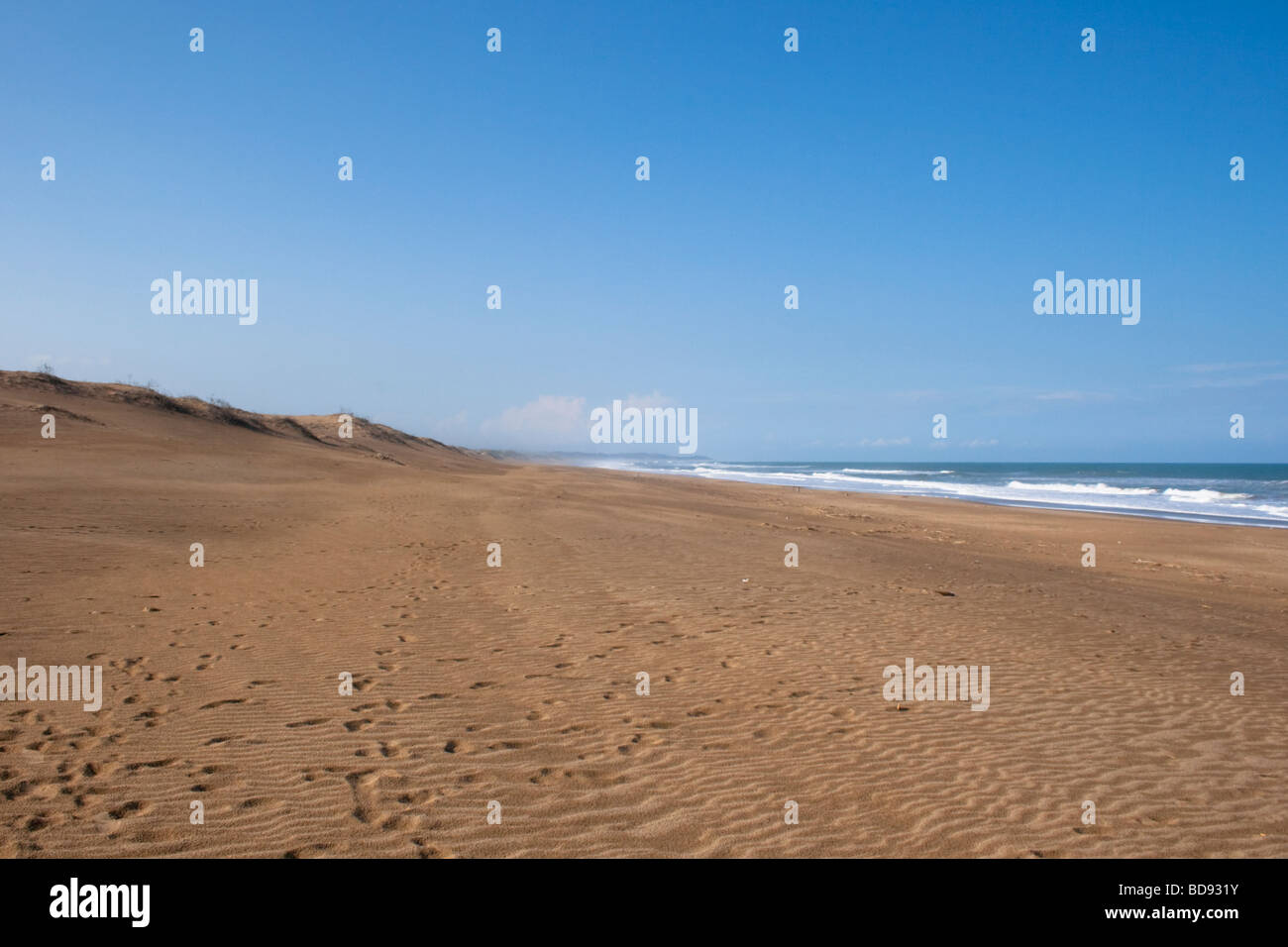 Unspoild Strand von Umlalazi in der Nähe von Mtunzini. Umlalazi Naturschutzgebiet, Kwazulu-Natal, Südafrika. Stockfoto