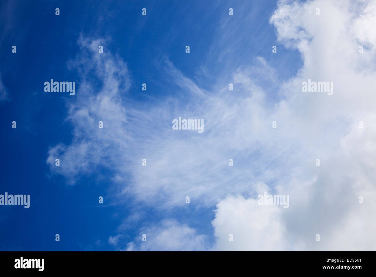 Blauer Himmel mit Cirruswolken nachschlagen Stockfoto