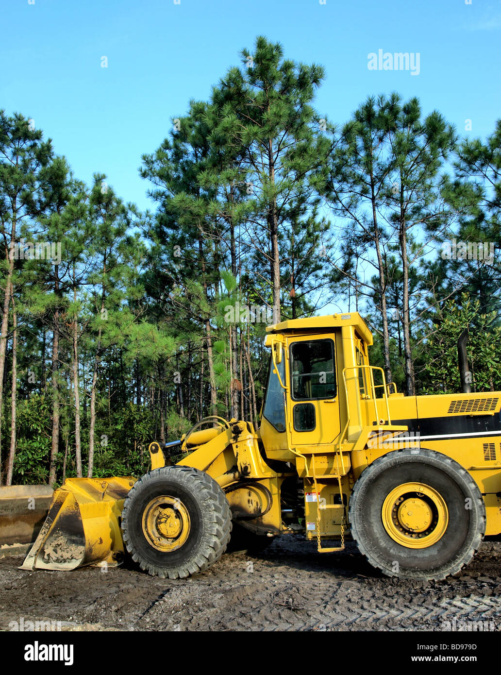 Bau-Geräte-Frontlader Schaufel Maschine mit hohen Pinien im Hintergrund und  großen Reifen in gelber Rahmen Stockfotografie - Alamy