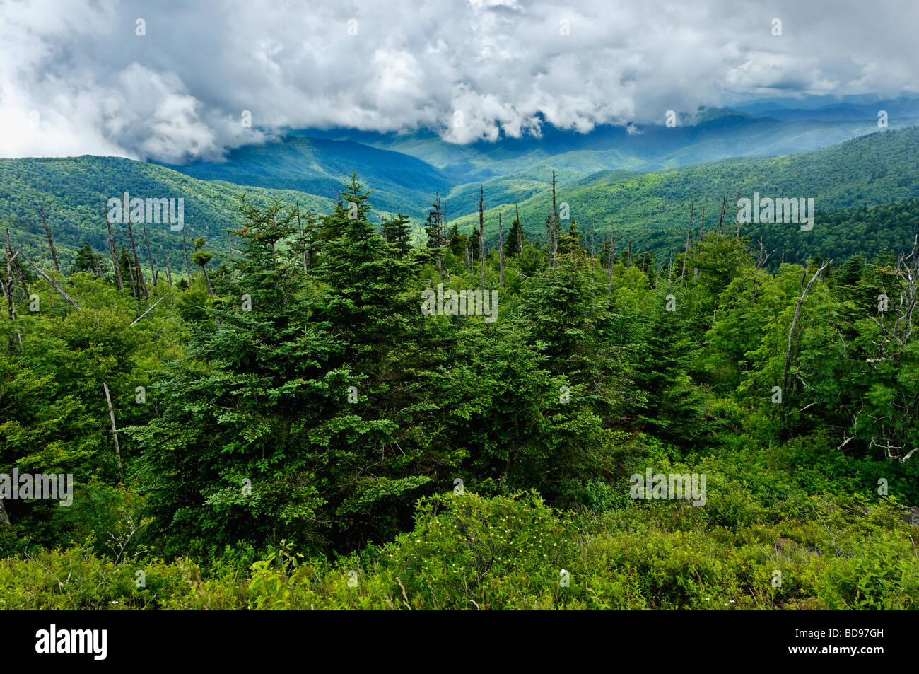 Dramatische niedrig liegenden Wolken und Blick auf den Smoky Mountains vom Clingmans Dome in North Carolina Stockfoto