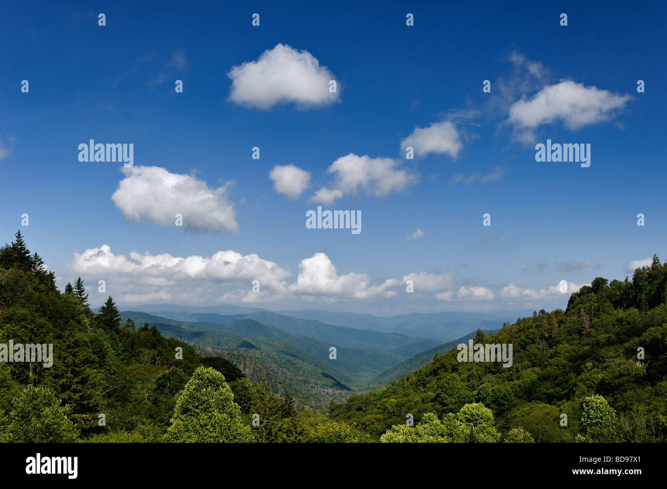 Blick auf den Great Smoky Mountains unter Newfound Gap in North Carolina Stockfoto