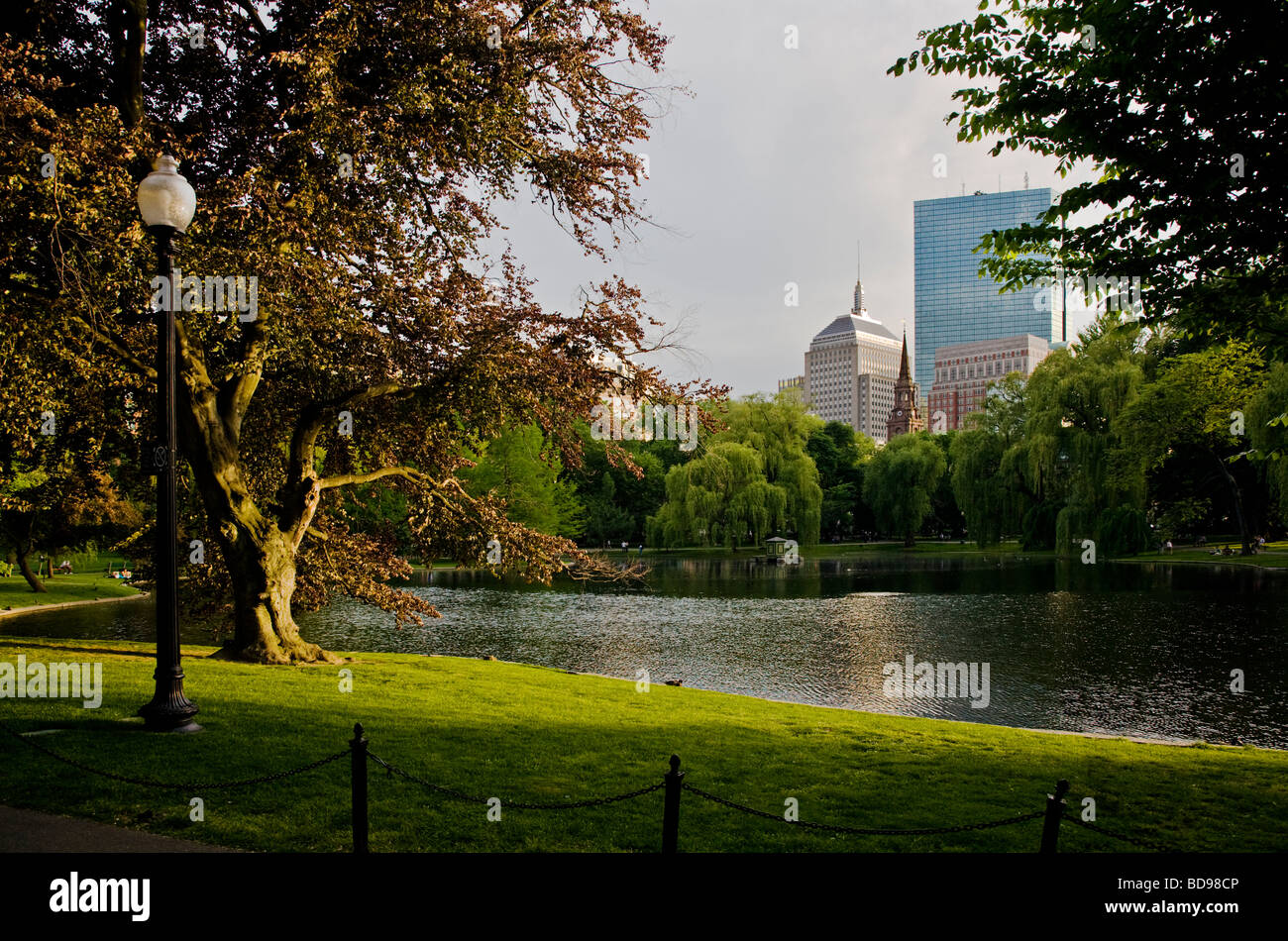 Die Lagune ist ein kleiner See in der BOSTON COMMON, ein öffentlicher Park und Garten BOSTON, MASSACHUSETTS Stockfoto