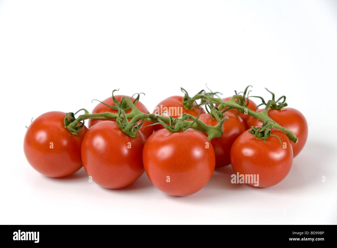 Biologisch angebaute Tomaten. Stockfoto