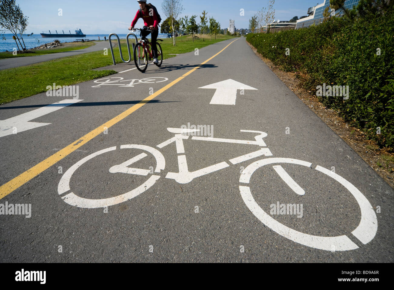 Radfahren in Seattle. Zwei-Wege-Radweg mit bemalten Richtungen in Elliott Bay Park. Stockfoto