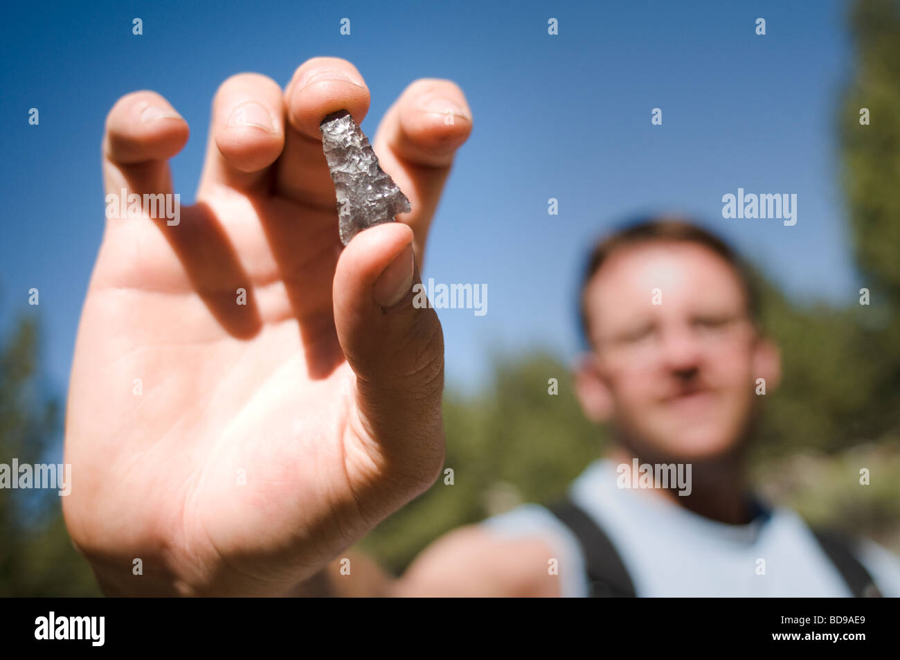 Entdecken Sie Pfeilspitzen Stockfoto