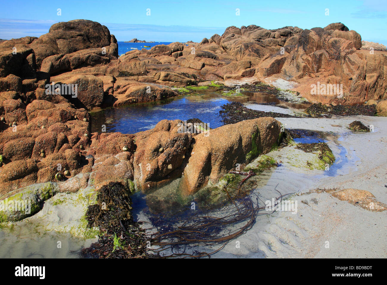 Felsen des Grandes Rocques, Guernsey, Channel Islands Stockfoto
