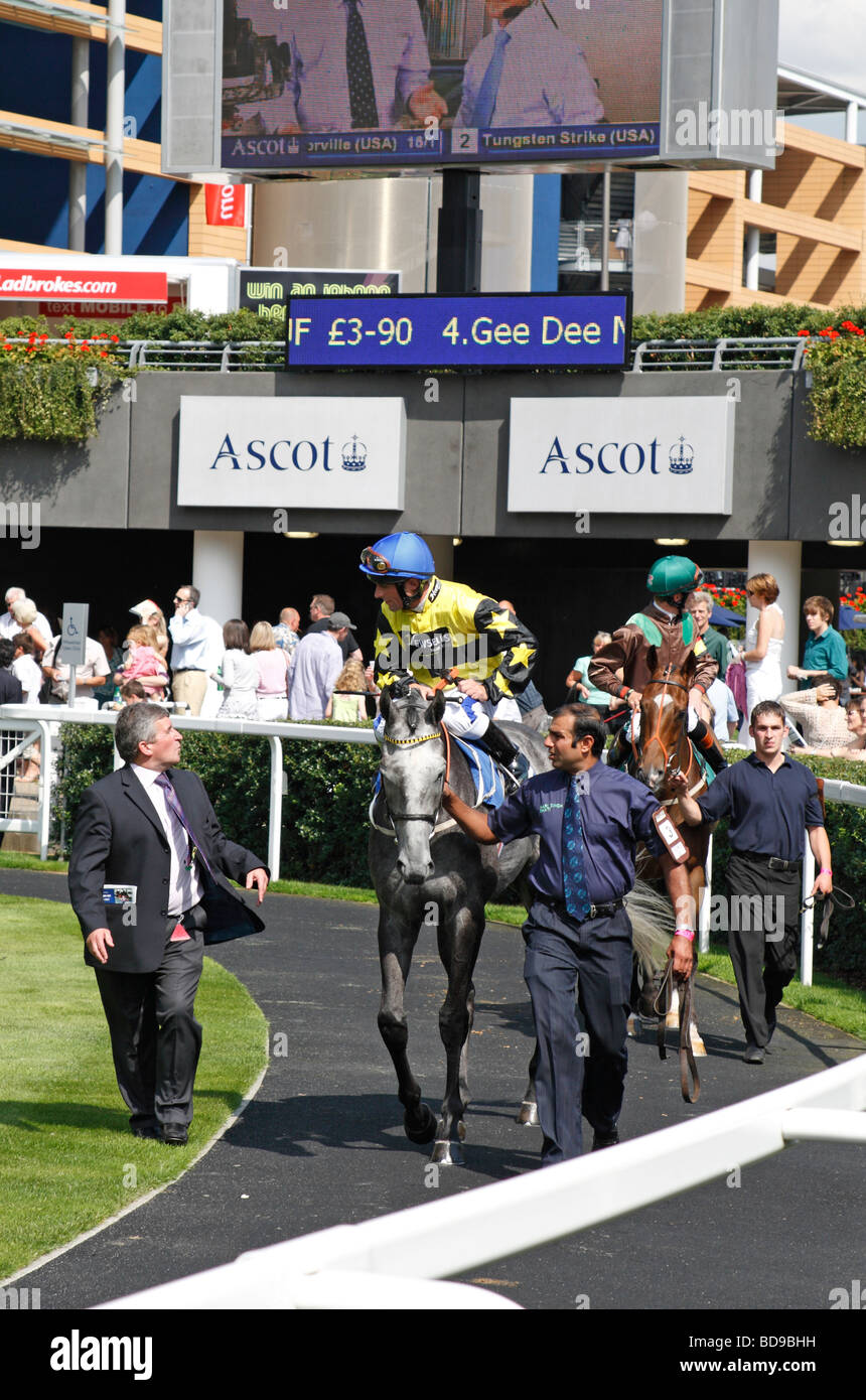 Jockeys vorbereiten für ein Rennen in den Parade-Ring bei Ascot Race Course, in der Nähe von Windsor, Berkshire, UK. Stockfoto