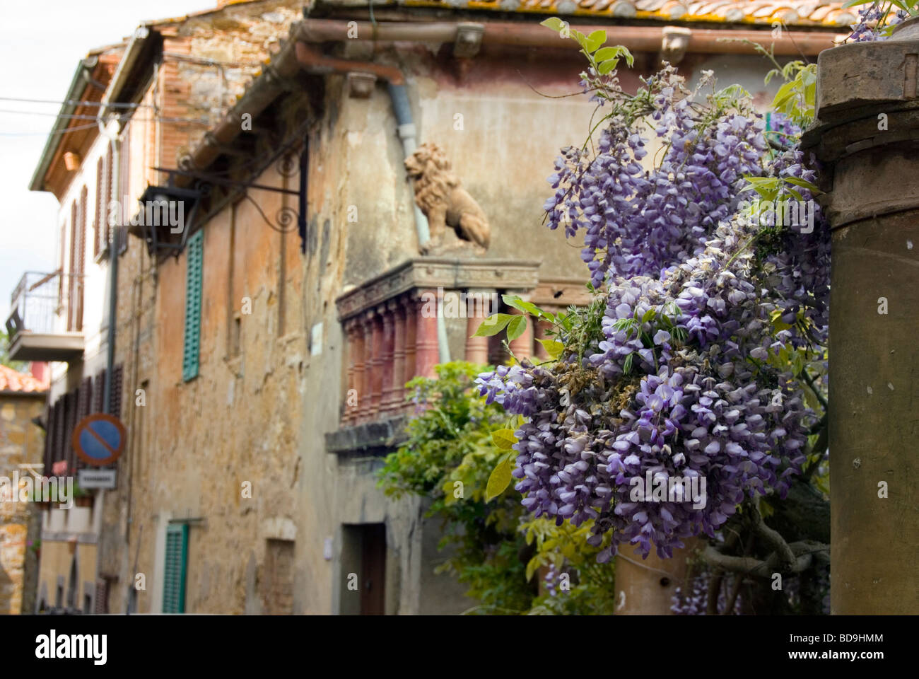 Straße in die kleine Stadt Petroio in der Provinz Siena Stockfoto