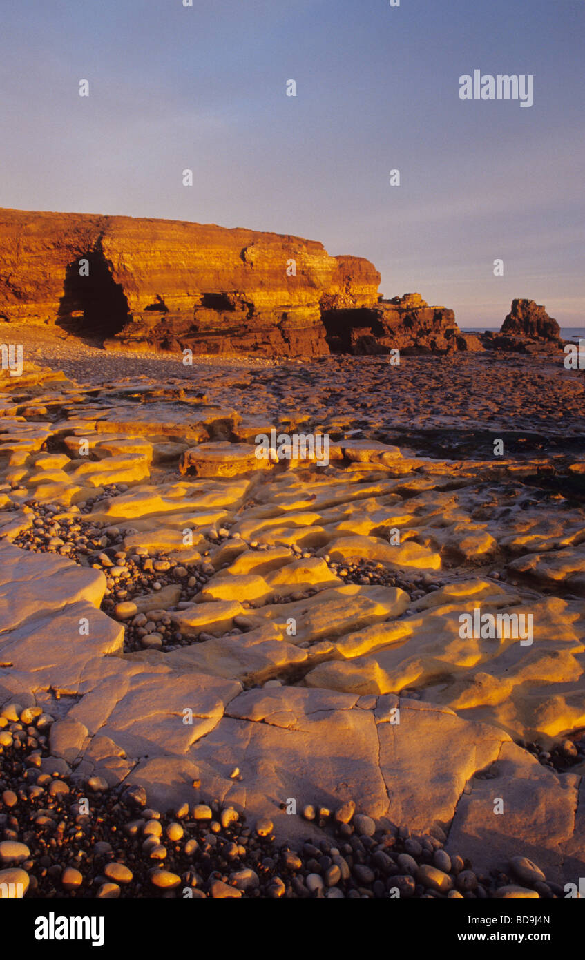 Erodierte magnesiumhaltiger Kalkstein an der Küste der Wherry auf South Tyneside Stockfoto