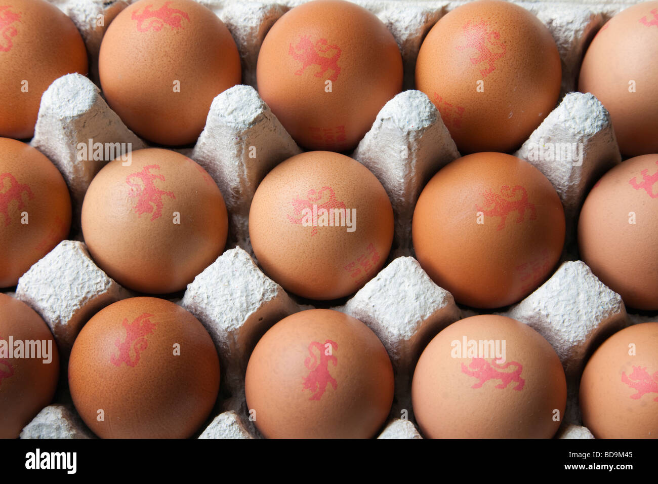 Eierbox mit freilandbraunen Eiern mit britischem Löwen-Logo in Nahaufnahme. England Großbritannien Stockfoto