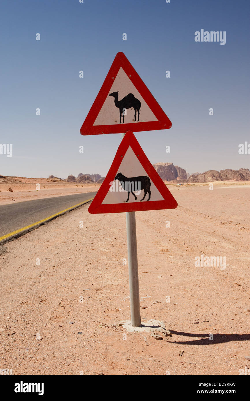 Kamel & Schafe Warnzeichen, Wadi Rum, Jordanien Stockfoto