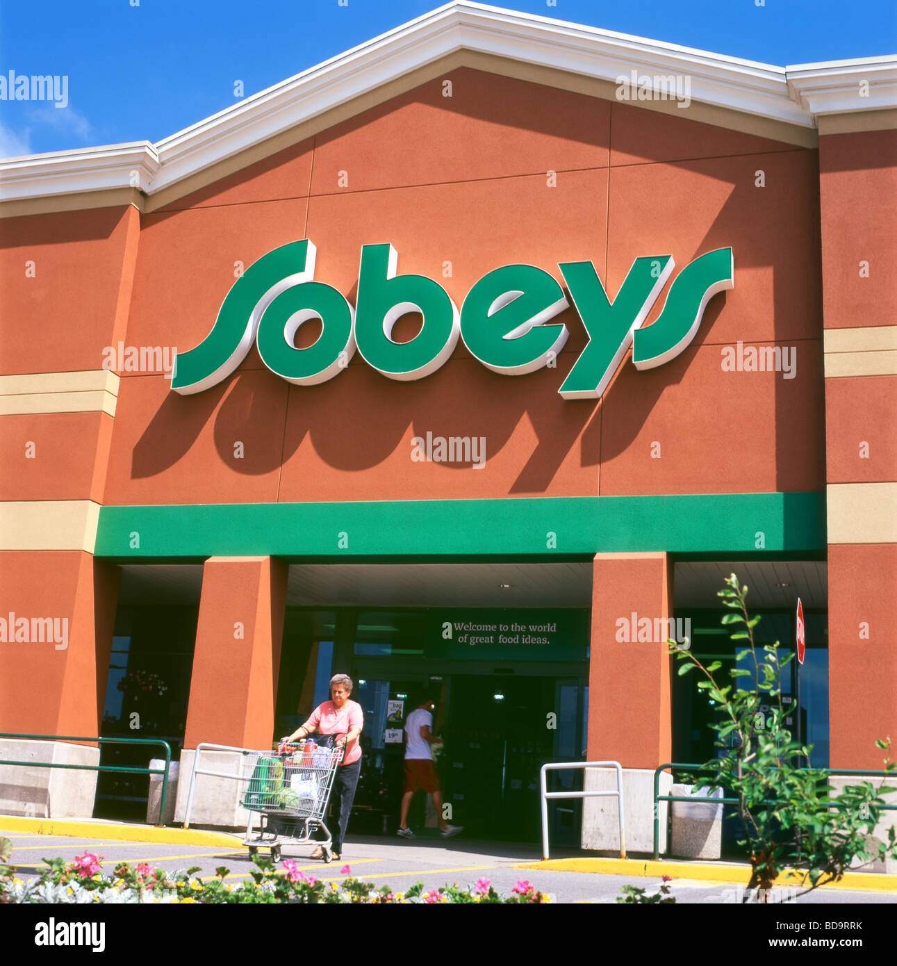 Eine ältere Frau schob ein Einkaufswagen von Lebensmitteln am Eingang des Sobeys Supermarkt Ontario Kanada KATHY DEWITT Stockfoto