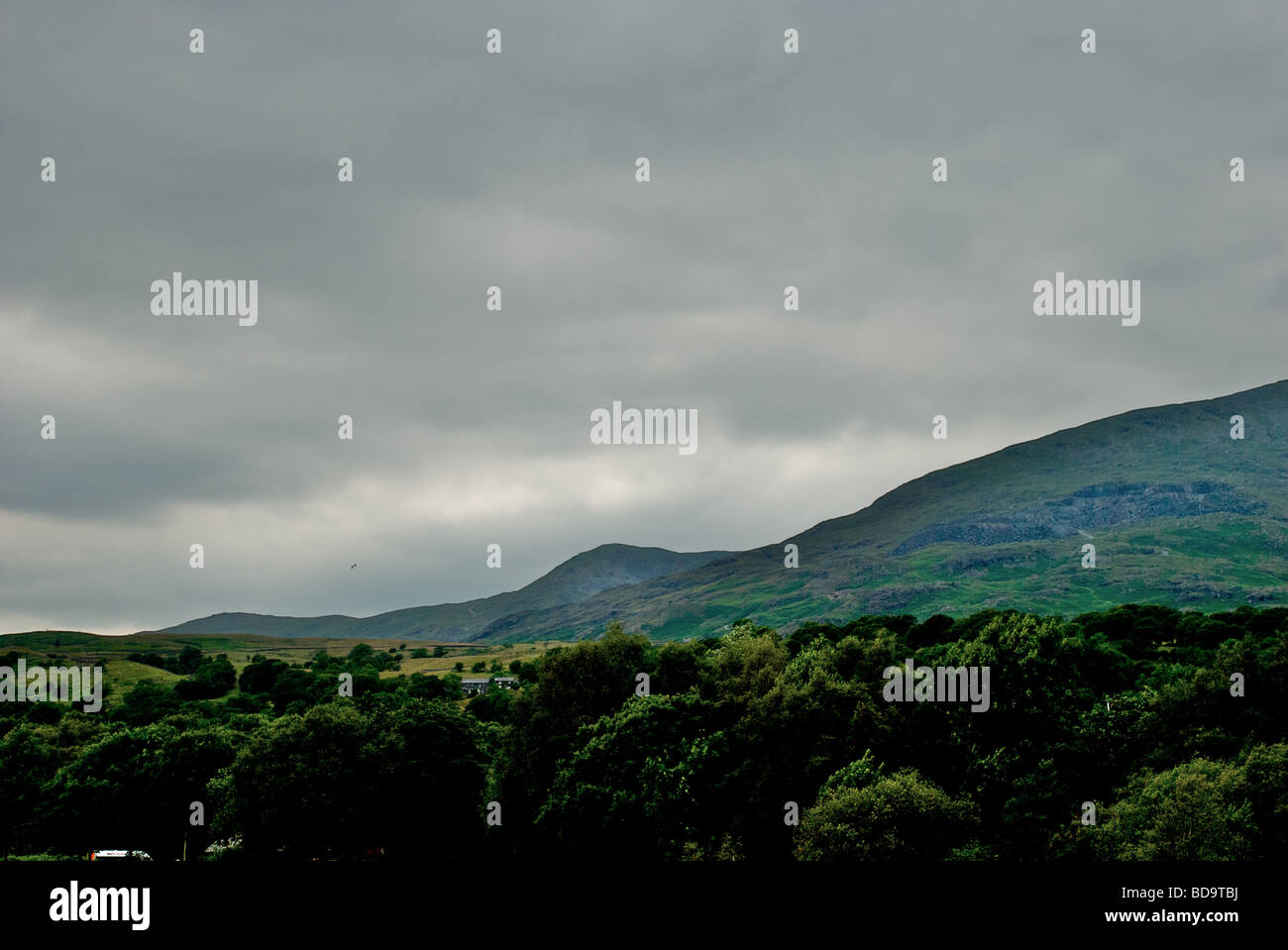 Conistan Alter Mann Stockfoto