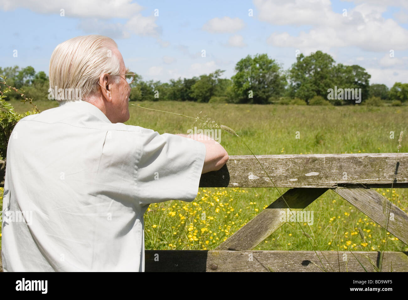 Älterer Mann stützte sich auf fünf vergitterten Tor mit Blick auf ein Feld von Blumen, um einen Blick auf die Landschaft Stockfoto